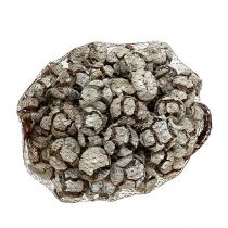 kohteita Sypressin käpyjä 3 cm Valkoiseksi pestyjä 500g