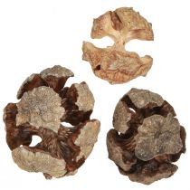 kohteita Sypressikäpyjä koristeelliset luonnon sypressikävyt 2-4cm 250g