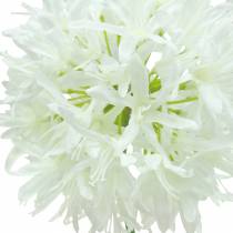kohteita Koriste sipuli Allium keinotekoinen valkoinen Ø12cm K62cm