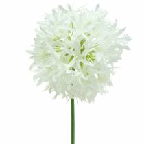 kohteita Koriste sipuli Allium keinotekoinen valkoinen Ø12cm K62cm