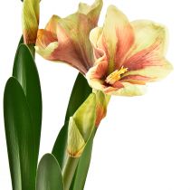 kohteita Amaryllis sammalpallossa keinotekoinen pinkki-keltakuvioinen kukka - 45 cm - Eksoottinen ja tyylikäs sisustus