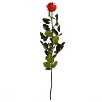 kohteita Infinity Rose säilötyt lehdet Amorosa Red L54cm