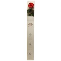 kohteita Infinity Rose säilötyt lehdet Amorosa Red L54cm