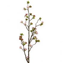 Kirsikankukka oksa vaaleanpunainen 95cm
