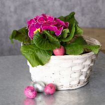 kohteita Punottu korikoriste monipuoliseen sisustukseen, 20 cm, 8 kpl