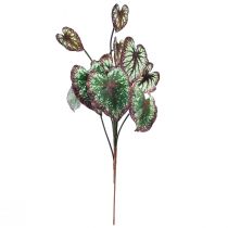 kohteita Begonia Keinotekoiset kasvit Lehti Begoniat Vihreä Purppura 62cm