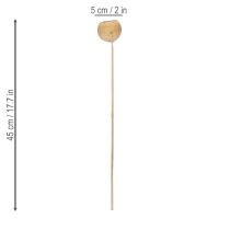 kohteita Bell Cup -sekoitus varressa, luonnollisia eksoottisia lajikkeita, 15 kpl