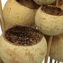 kohteita Bell Cup Mix sauvassa Natural Exotics 15 kpl