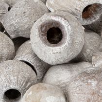 kohteita Bellgums valkoiseksi kalkittu 2cm - 5cm 500g