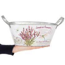 kohteita Soikea metallinen kukkakulho kahvoilla, laventeli, 32 × 15 × 15 cm
