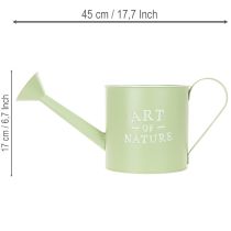 kohteita Kukkaruukku, koristeellinen kastelukannu, mintunvihreä sinkkiruukku, Ø16,5 cm