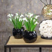 kohteita Kukkaruukku Keraaminen Munanmusta Plant Pot Musta Ø12cm 2kpl