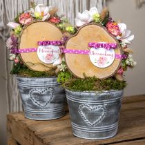 kohteita Kukkaruukku Shabby Chic istutuskone metallisydän Ø17,5cm K15,5cm