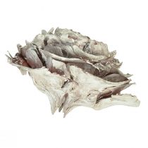 kohteita Setrikäpyjä leikattu kuin ruusu setri ruusu 4-6cm valkoinen/luonnollinen 50 kpl