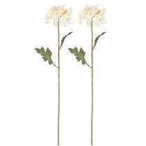 kohteita Chrysanthemum Keinotekoiset koristekukat Cream L72cm 2kpl