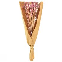 kohteita Curry Herb Immortelle Artificial Pink L28cm 12 kpl 1 nippu