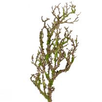 kohteita Koristeoksa sammalkeinotekoisella syksykoristeella harmaa vihreä L78cm