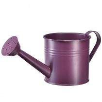 kohteita Koristeellinen kastelukannu violetti metallinen istutuskone Ø13,5cm K12,5cm