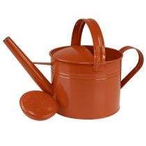 kohteita Metallinen koristeellinen kastelukannu maalaistyyliin, oranssinruskea, 26 cm, 5 l - Monipuolinen käyttö ruukkuna ja koristeena