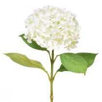 kohteita Koristeellinen hortensia keinovalkoinen lumipallohortensia 65cm