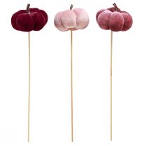 kohteita Kangaskurpitsasta valmistettu koristekurpitsa tikussa viininpunainen pinkki Ø7cm 9 kpl