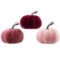 kohteita Koristekurpitsat flokoitu viininpunainen pinkki Ø13cm K11,5cm 3 kpl