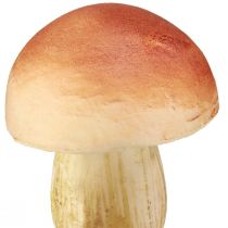 kohteita Koristesieniä tikkuissa pieniä ja suuria ruskeita H10/11,5cm 8 kpl
