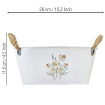 kohteita Koristeellinen soikea metallikulho, valkoinen, luonnonkukilla koristeltuna, P26cm