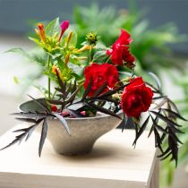 kohteita Koristeellinen kulho jalustalla, pyöreä kukkamalja, harmaa, Ø19cm, K8cm