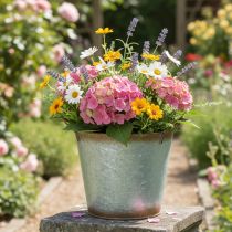 kohteita Koristeellinen ruukku kahvoilla, istutusämpäri, metalliastia, hopea, säänkestävää terästä, Ø17cm, korkeus 16,5cm