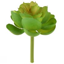 kohteita Echeveria Artificial Succulents Vihreä Ø7cm 6 kpl