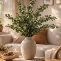 kohteita Säilötty eukalyptus koristeelliset oksat ja lehdet, pyöreät kuivatut koristeet, vihreät, 150g