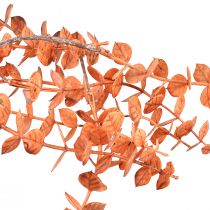 kohteita Keinotekoinen eukalyptusripustin Autumn Eucalyptus Orange 150cm