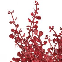 kohteita Eukalyptuspensas punainen keinotekoinen kasvi eukalyptus 28cm 3kpl