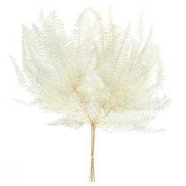 kohteita Saniainen Koristeellinen saniainen Fronds Säilötyt Valkaistu L45cm 10 kpl