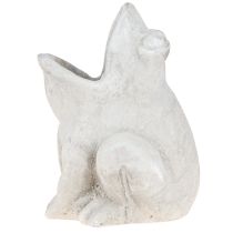 kohteita Sammakko koristekasviruukku kukkaruukku betoninharmaa K18,5cm