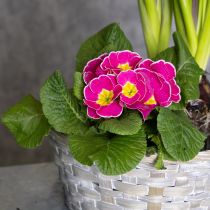 kohteita Punottu kori tyylikkäänä kukkakoristeena olohuoneessa. Pääsiäiskori, 23 cm, 6 kpl.