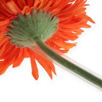 kohteita Gerbera tukiletku 17mm, 200m