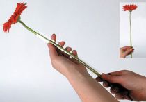 kohteita Gerbera tukiletku 200m