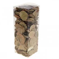 kohteita Kuivatut lehdet, koristeellinen Moneta, kuivatut kukka-asetelmat, luonnollinen, 200g