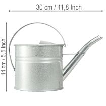 kohteita Vintage-koristeellinen kastelukannu, metallia, hopeaa, 1,25 litran ruukku