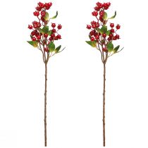 kohteita Ruusunmarjan koristeoksa punaisilla hedelmillä L60cm 2 kpl
