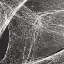 kohteita Halloween-koristeena hämähäkinseitti 70×100cm 150g