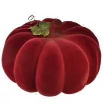 kohteita Syksykoristeita kurpitsa flokoitu punainen burgundi - kurpitsa koristelu ainutlaatuiseen syystunnelmaan 32cm
