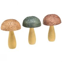 kohteita Puiset sienet koristesienet syyskoristeet puulajitelma 11×7,5cm 3kpl