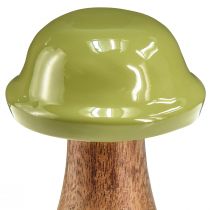 kohteita Puiset sienet koristesienet puun harmaa vihreä Ø6cm K10cm 2kpl