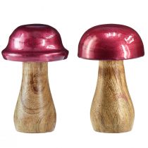 kohteita Puiset sienet koristesienet puunpunainen kiilto Ø6cm K10cm 2kpl