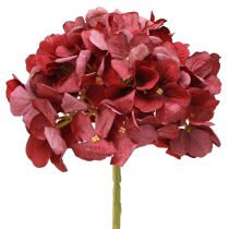 kohteita Hortensia keinotekoinen viininpunainen iso kukka Ø15cm L58cm 2kpl