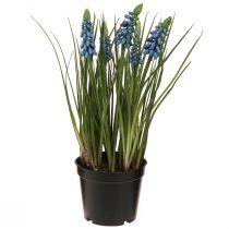 kohteita Keinotekoiset hyasintit sinisessä ruukussa 24cm