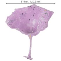 kohteita Kalix-sienet violetit, valkopestyt 100 kpl